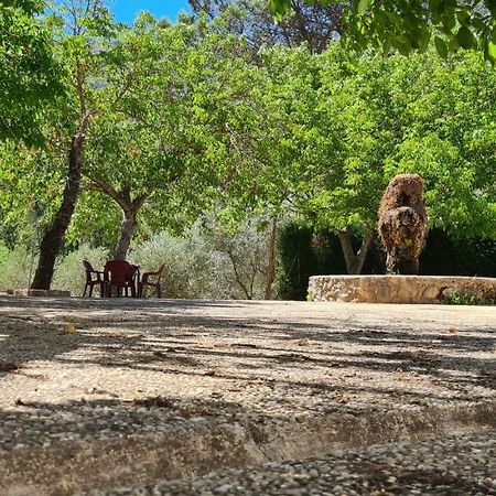 Alojamiento Turistico El Pantano De Cazorla Coto Rios Exterior foto